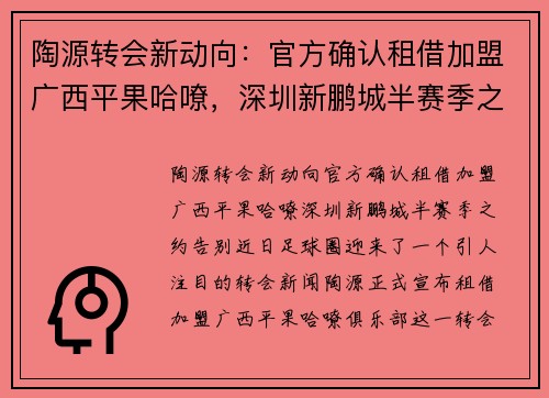 陶源转会新动向：官方确认租借加盟广西平果哈嘹，深圳新鹏城半赛季之约告别